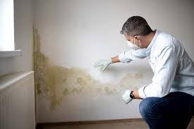 Best Environmental Consulting for Mold Prevention  in East Basin, UT